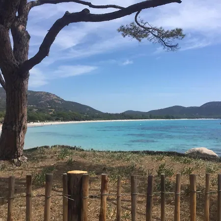 Apartment Saint Cyprien Porto-Vecchio (Corsica)