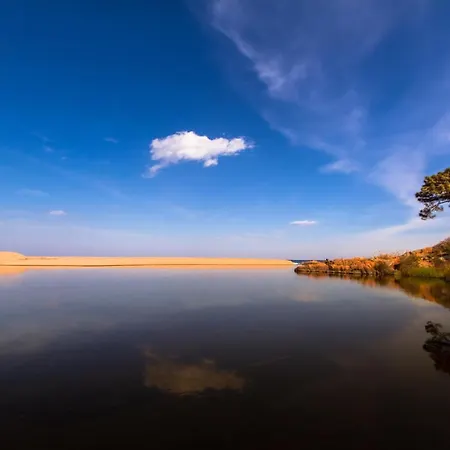 Apartment Saint Cyprien