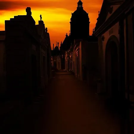 Saint Cyprien * Porto-Vecchio (Corsica)