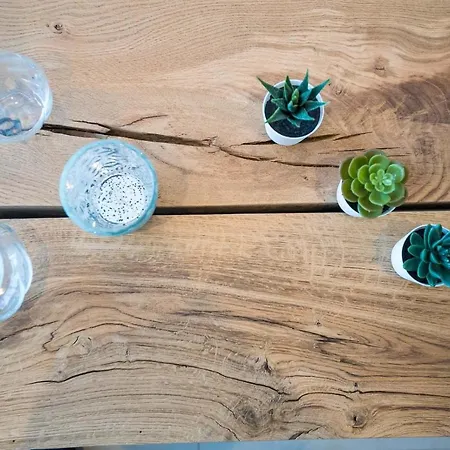 Saint Cyprien Apartment