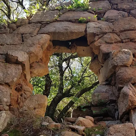 Apartment Saint Cyprien