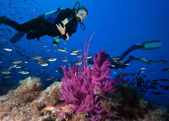 Saint Cyprien Apartmán Porto-Vecchio (Corsica)