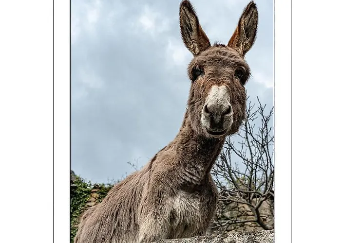 Apartmán Saint Cyprien Porto-Vecchio (Corsica)