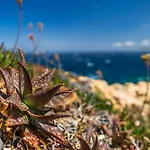 Saint Cyprien