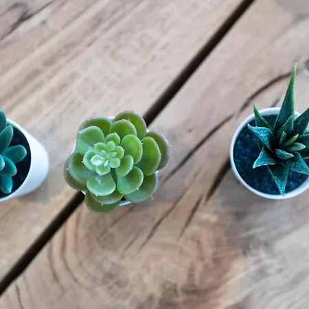 Saint Cyprien بورتو فيكشْيو