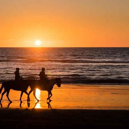 Saint Cyprien Appartement Porto-Vecchio (Corsica)