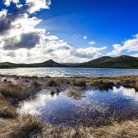 شقة Saint Cyprien