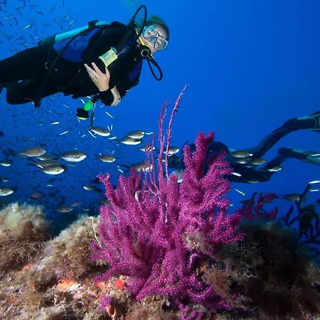 Saint Cyprien Apartamento Porto-Vecchio (Corsica)