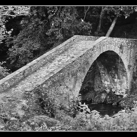 Apartamento Saint Cyprien