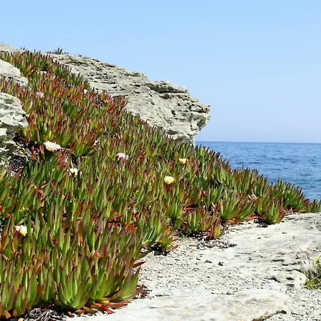 شقة Saint Cyprien