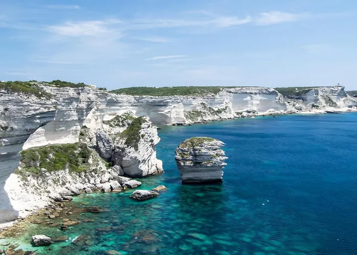 Saint Cyprien 아파트