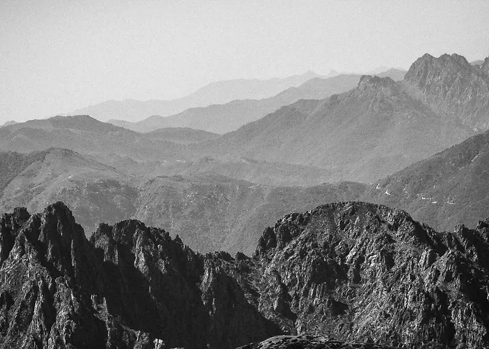 Lägenhet Saint Cyprien