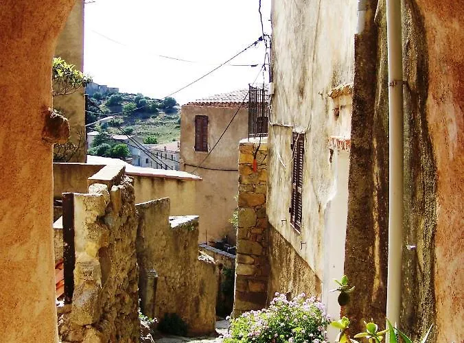 Saint Cyprien 아파트 *