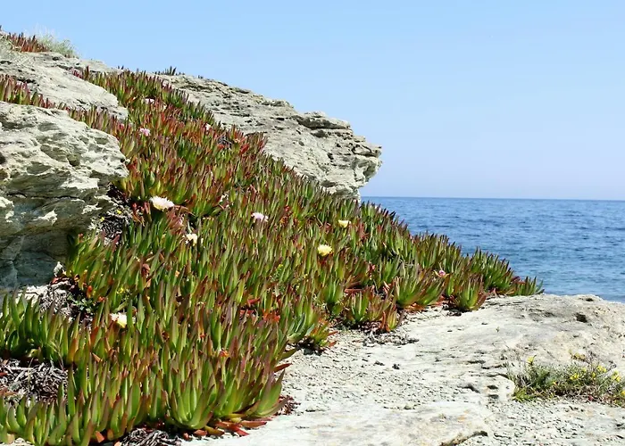 Apartman Saint Cyprien